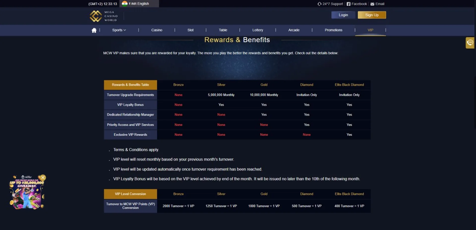 Megasync online