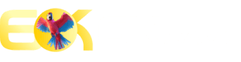 Yonibet.com - Kkkjogo