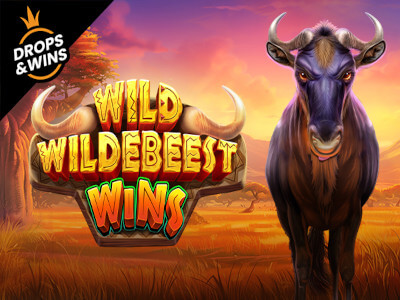 Casinoin.io